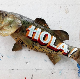 hola fish